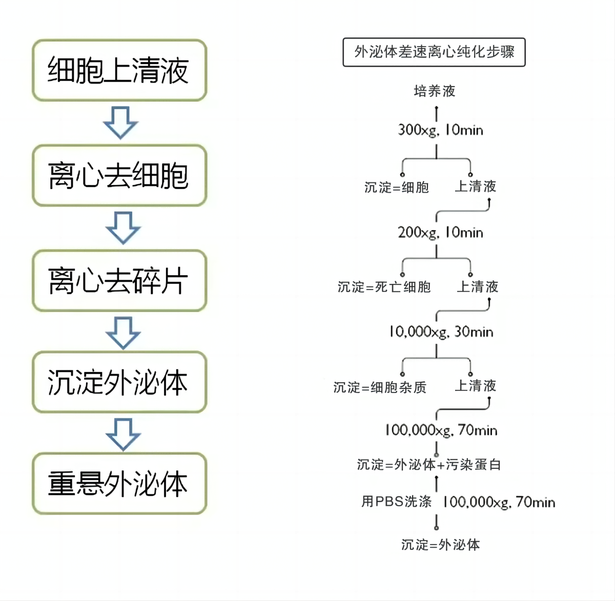 ku网页登录(中国游)·官方网站